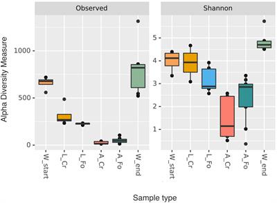 Exploring Changes in the Microbiota of Aedes albopictus: Comparison Among Breeding Site Water, Larvae, and Adults